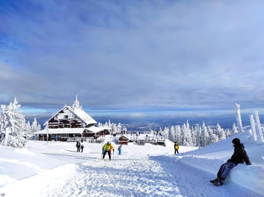 Osrodek Wypoczynkowy Zapalenica Bed and Breakfast Szczyrk Eksteriør billede